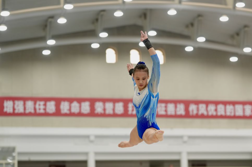 深入了解乐鱼体育电竞体验
